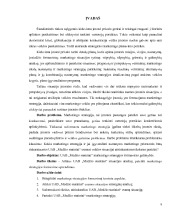UAB Medžio statiniai marketingo strategijos formavimas 2