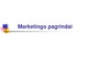 Marketingo pagrindai projektas 