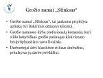 Grožio namų stebėjimas Rinkos analizė 3