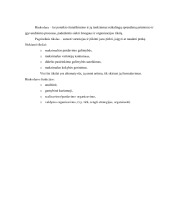 Studentų požiūris į sportinę veiklą universitete 3