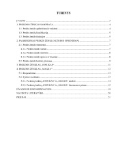 „Jonukas“ ir „Magija“ prekinių ženklų analizė ir žinomumo tyrimas 2