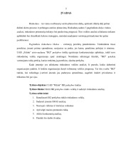 Iki rinkodarinės veiklos analizė 2