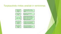 Tarptautinės rinkos analizė ir vertinimas 3