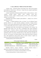 Strateginis planas Uab „Apranga“ 3