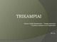 Trikampiai matematikos skaidrės