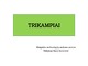 Trikampiai projektas 