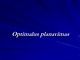Optimalus planavimas