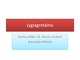 Lygiagretainis projektas