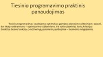 Tiesinis programavimas projektas 3