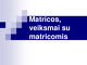 Matricos, veiksmai su matricomis