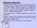 Žemynai ir geometrinės figūros 2