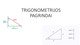 Trigometrijos istorija: Trikampių savybės