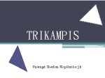 Trikampis matematikos skaidrės 1