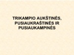 Trikampio kraštines 1