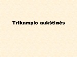 Trikampio kraštines 2