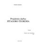 Pitagoro teorema projektas