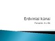 Erdviniai kūnai skaidrės
