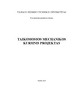 Taikomosios mechanikos kursinis projektas