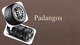 Padangos