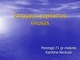 Žmogaus papilomos virusas skaidrės