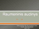 Raumeninis audinys 1