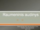 Raumeninis audinys