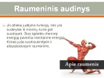 Raumeninis audinys 2