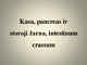 Kasa ir storoji žarna