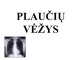 Plaučių vėžys skaidrės (2)