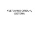 Kvėpavimo organų sistema skaidrės