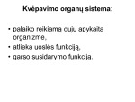 Kvėpavimo organų sistema skaidrės 2