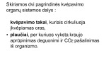 Kvėpavimo organų sistema skaidrės 3