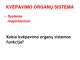Kvėpavimo organų sistema konspektas