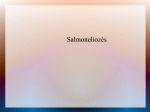Salmoneliozė Sukelėjai Gydymas Profilaktika 1