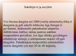Salmoneliozė Sukelėjai Gydymas Profilaktika 3