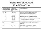 Nervinės skaidulos Fiziologijos kosnspektas 2