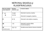 Nervinės skaidulos Fiziologijos kosnspektas 3