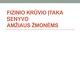 Fizinio krūvio įtaka senyvoamžiaus žmonėms