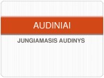 Jungiamasis audinys 1
