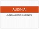 Jungiamasis audinys