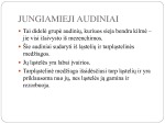 Jungiamasis audinys 2