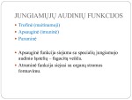 Jungiamasis audinys 3