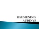 Raumeninis audinys skaidrės