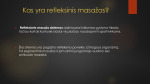 Refleksinis masažas 2