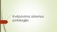 Kvėpavimo sistemos patologija