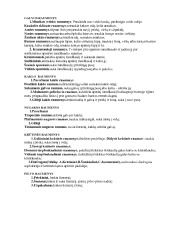 Raumenys konspektas (3) 1