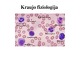 Kraujo fiziologija