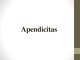 Apendicitas projektas 