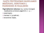 Odontologinė priežiūra 2