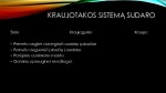 Apytakos sistema 3